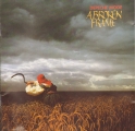 A Broken Frame